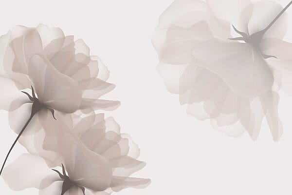 Group of flowers on a white background