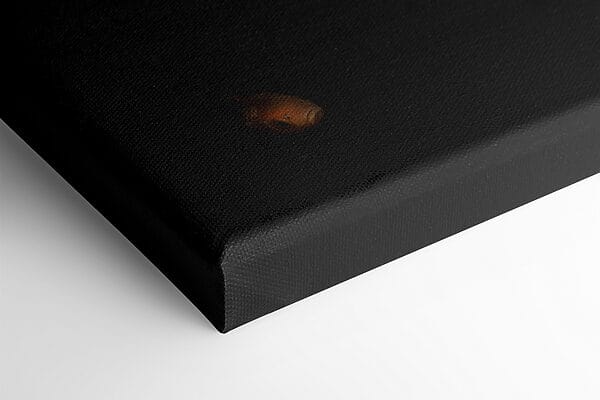 Ethereal harmony with swimming dreams