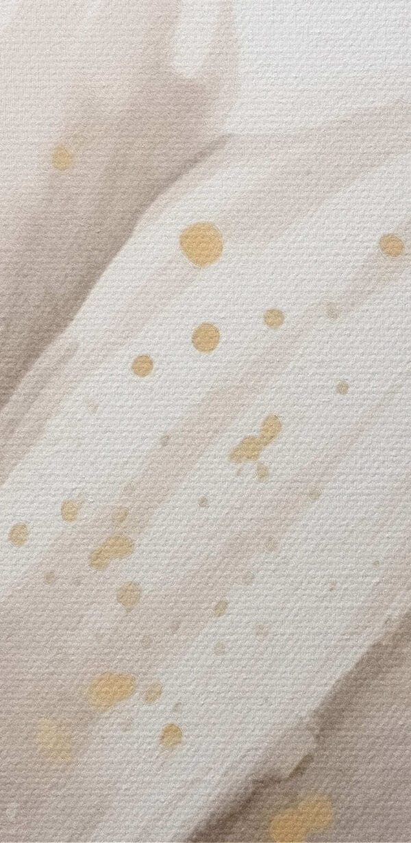 Floral elegance in soft tones Floral elegance in soft tones