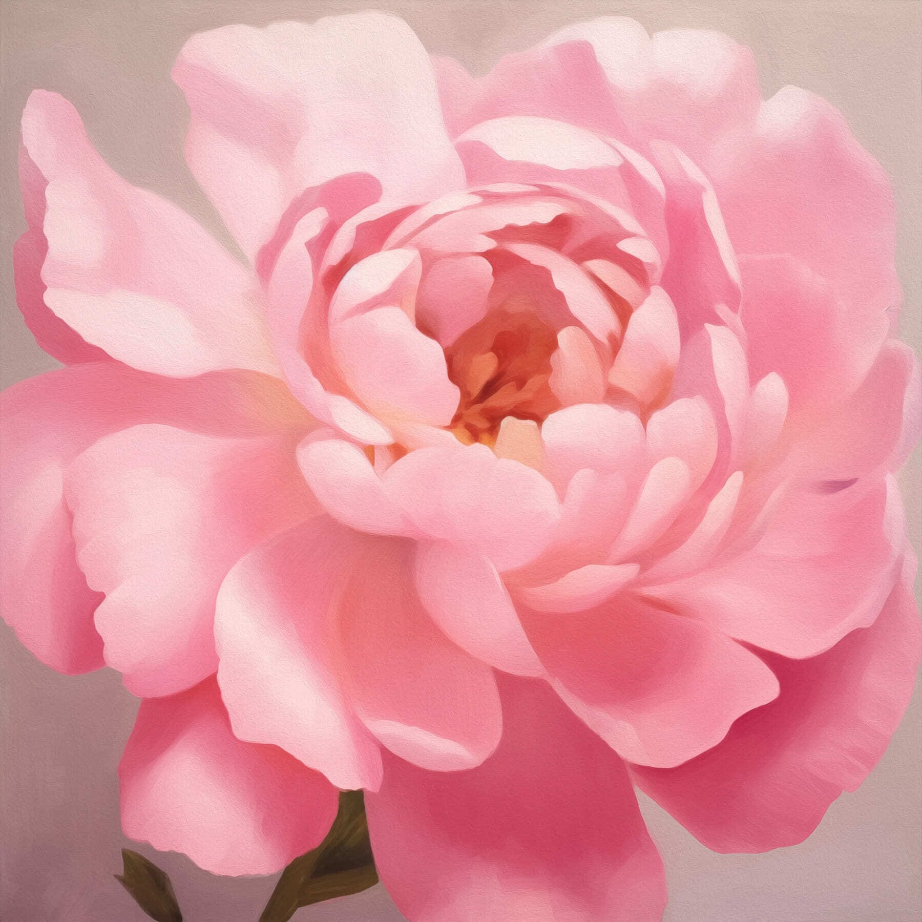 Delicate petals in soft pink hues Delicate petals in soft pink hues