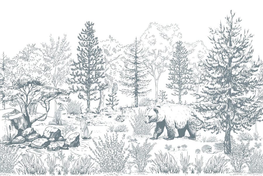 Oso en el bosque