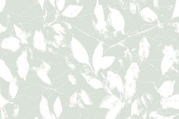 Hojas blancas sobre fondo verde claro Hojas blancas sobre fondo verde claro
