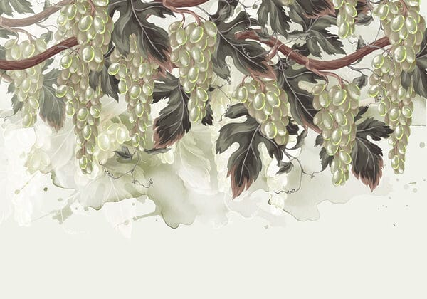 Racimo de uvas en una parra Racimo de uvas en una parra