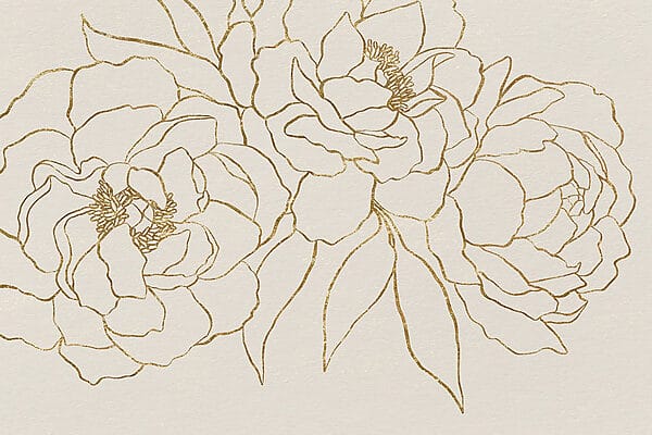 Drawing of flowers on a white surface Drawing of flowers on a white surface