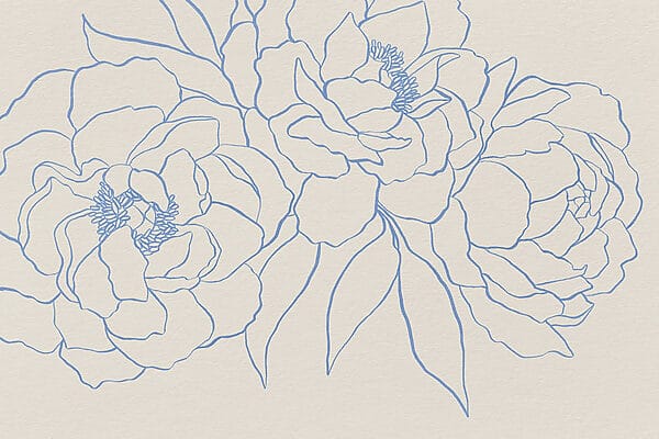 Dibujo de flores sobre una superficie blanca Dibujo de flores sobre una superficie blanca