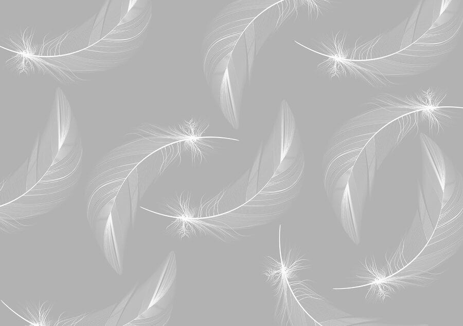 Plumas blancas sobre fondo gris