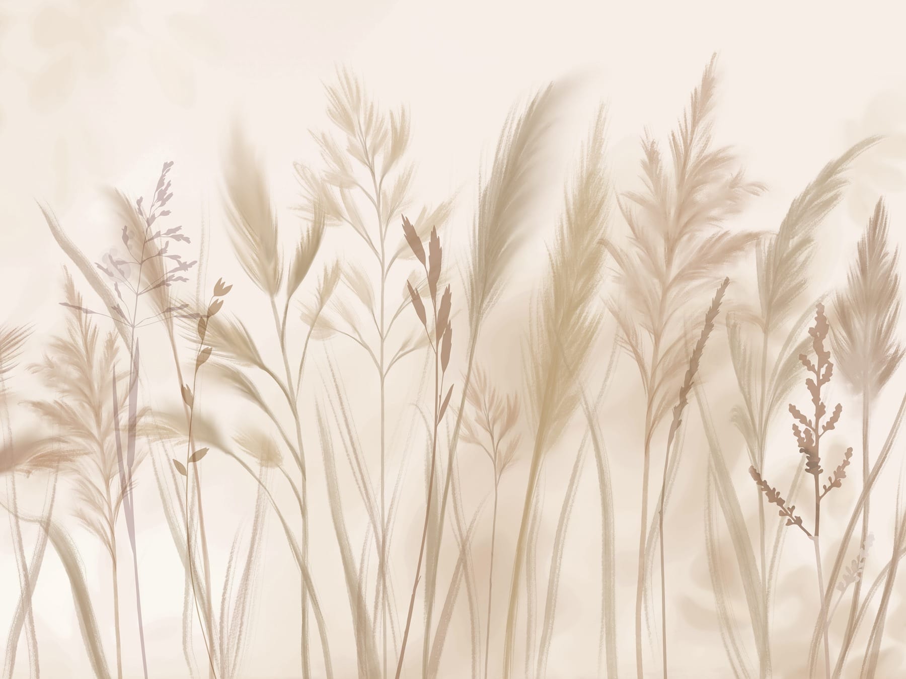 Soft hues of nature's embrace