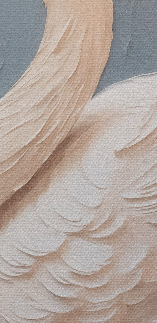 White swan with a black beak
