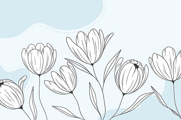 Dibujo lineal de flores Dibujo lineal de flores