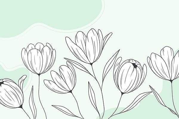 Dibujo lineal de flores Dibujo lineal de flores