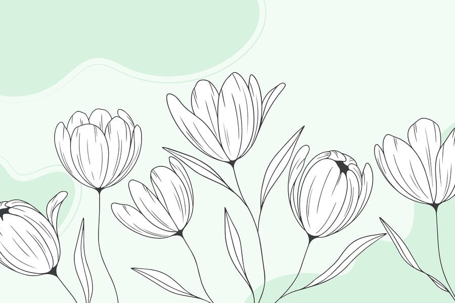Dibujo lineal de flores