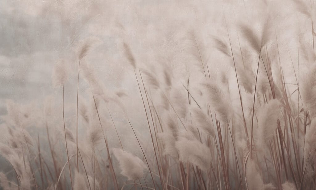 Gentle whispers of swaying grass