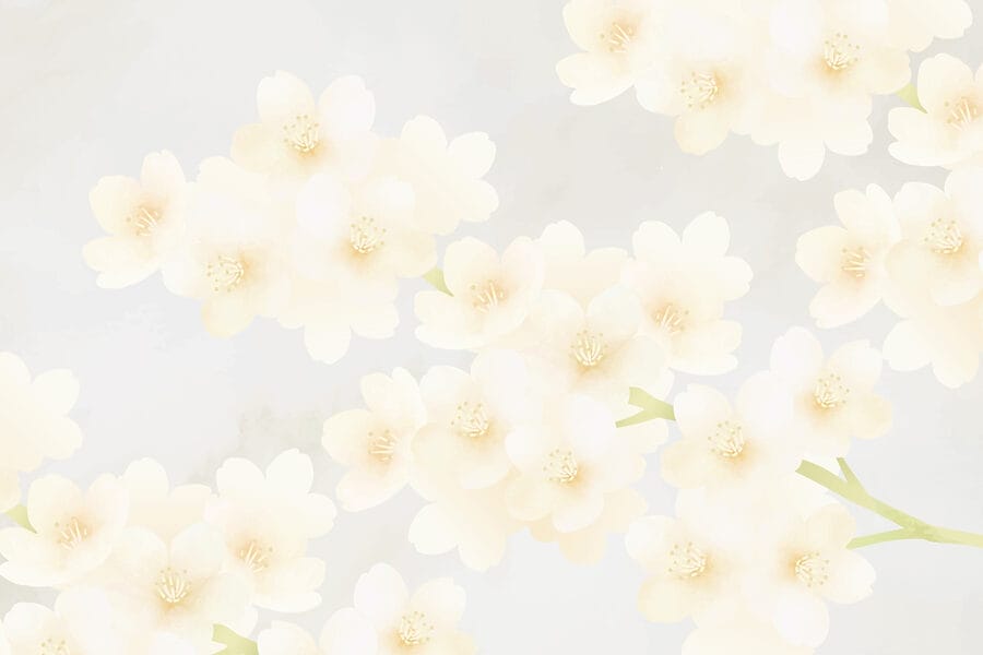 Grupo de flores blancas