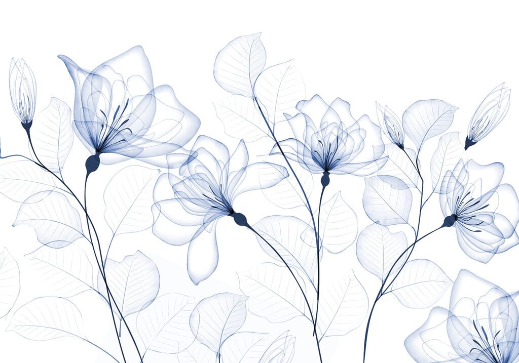 Flores y hojas transparentes Flores y hojas transparentes
