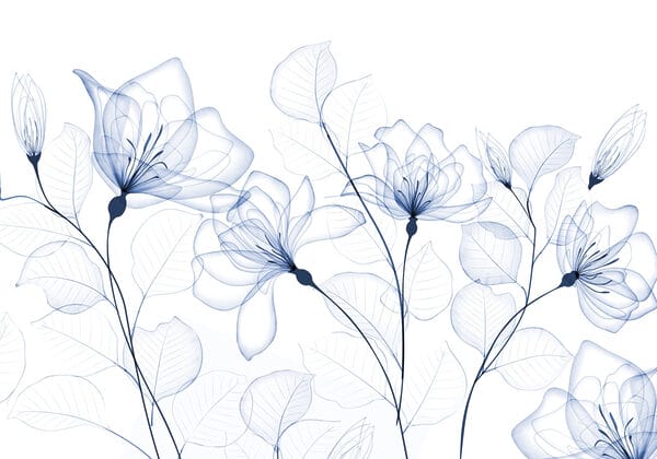 Flores y hojas transparentes Flores y hojas transparentes