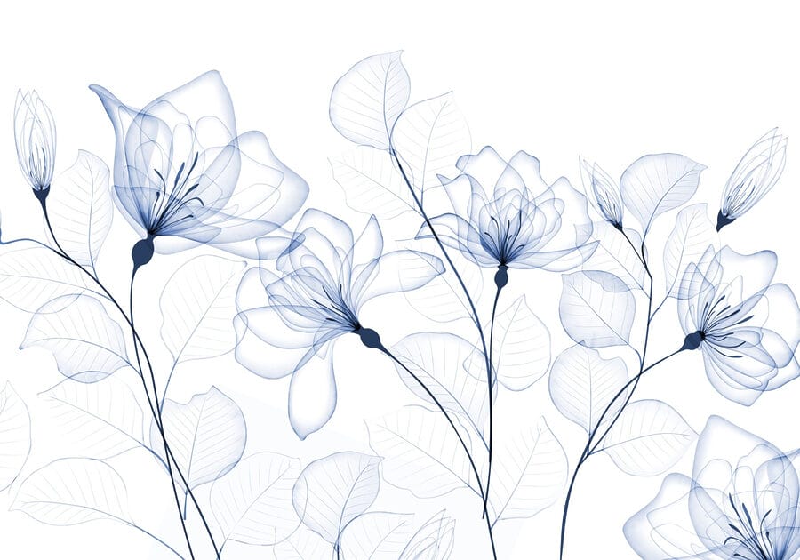 Flores y hojas transparentes