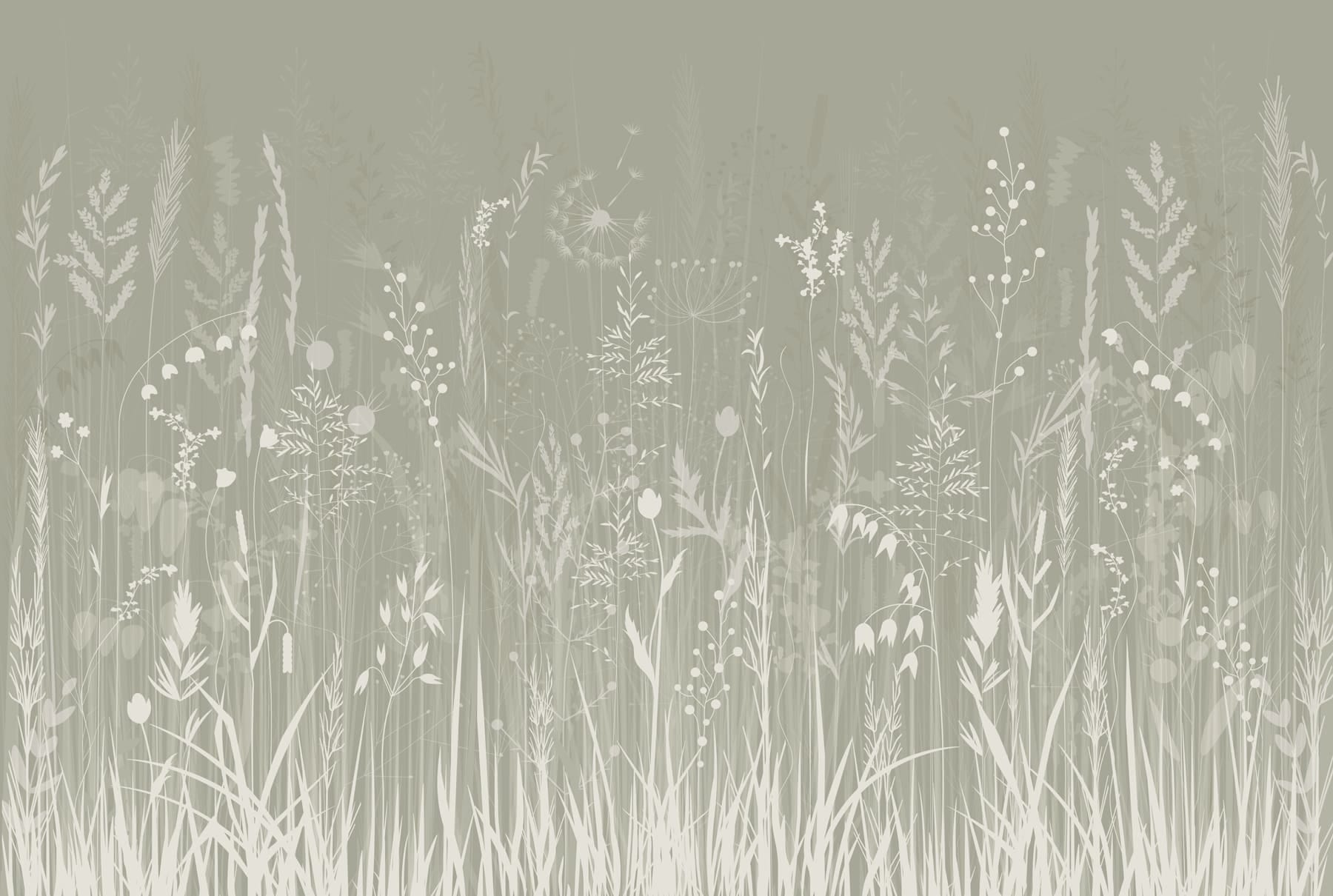 Field of grass and flowers