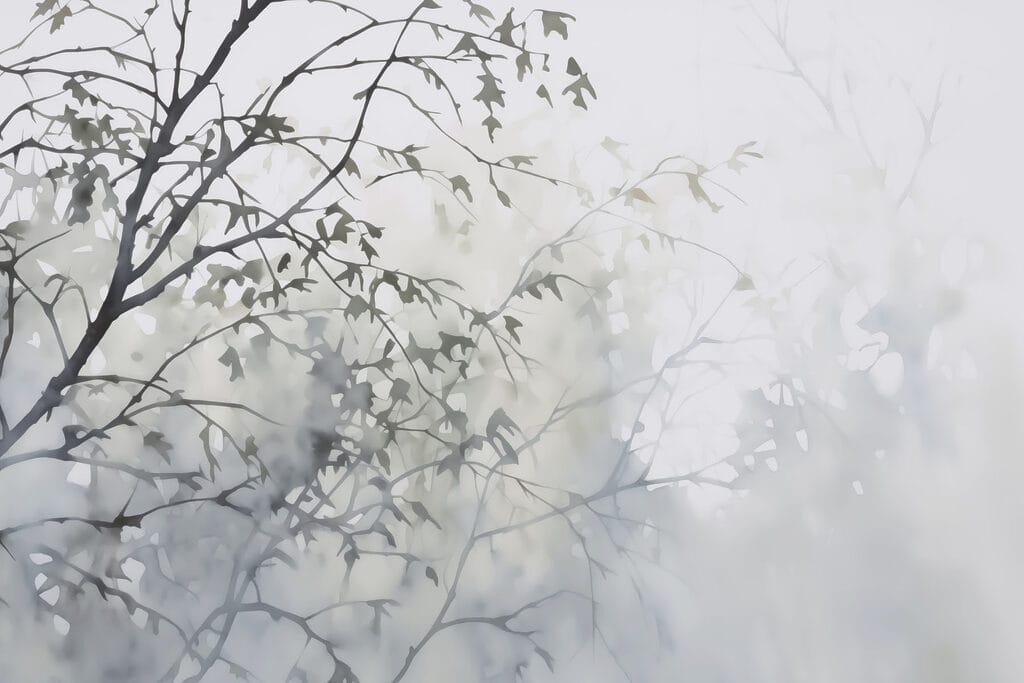 Árbol con hojas en la niebla Árbol con hojas en la niebla