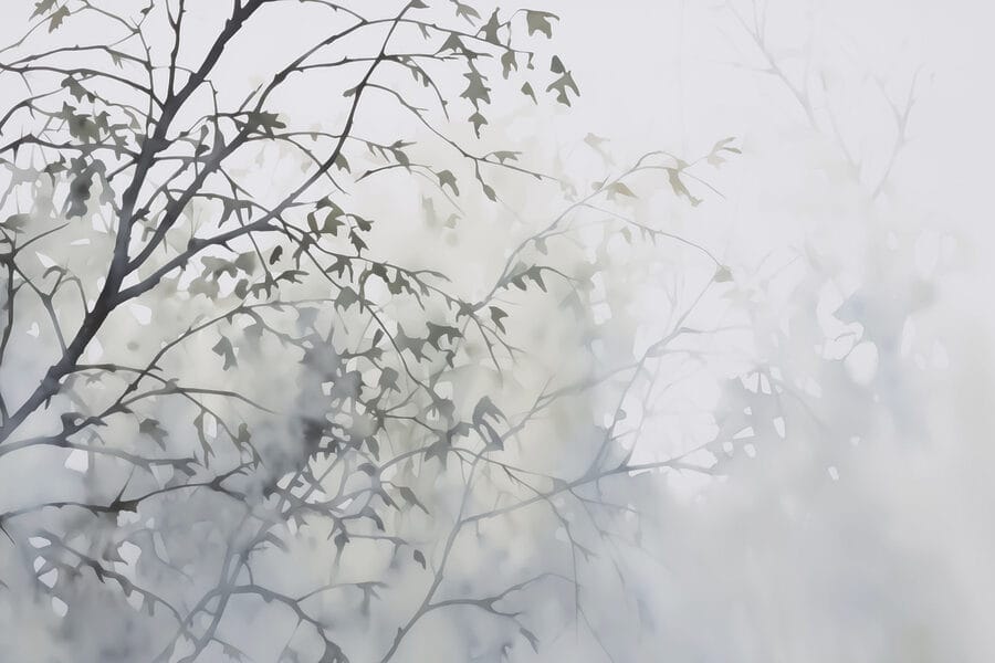 Árbol con hojas en la niebla