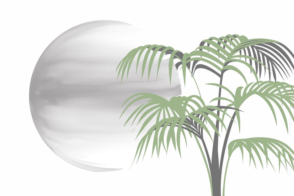 Palmera y esfera blanca redonda Palmera y esfera blanca redonda