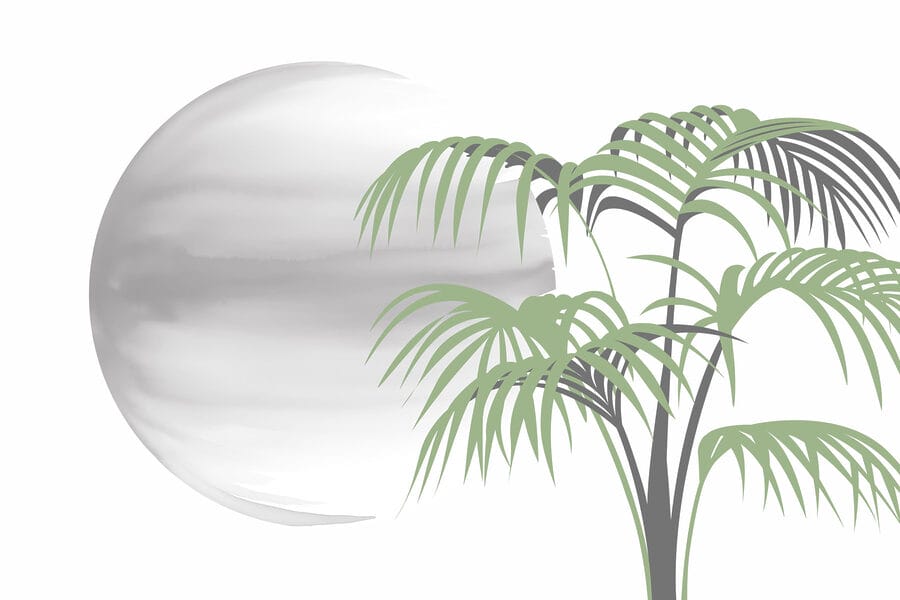 Palmera y esfera blanca redonda