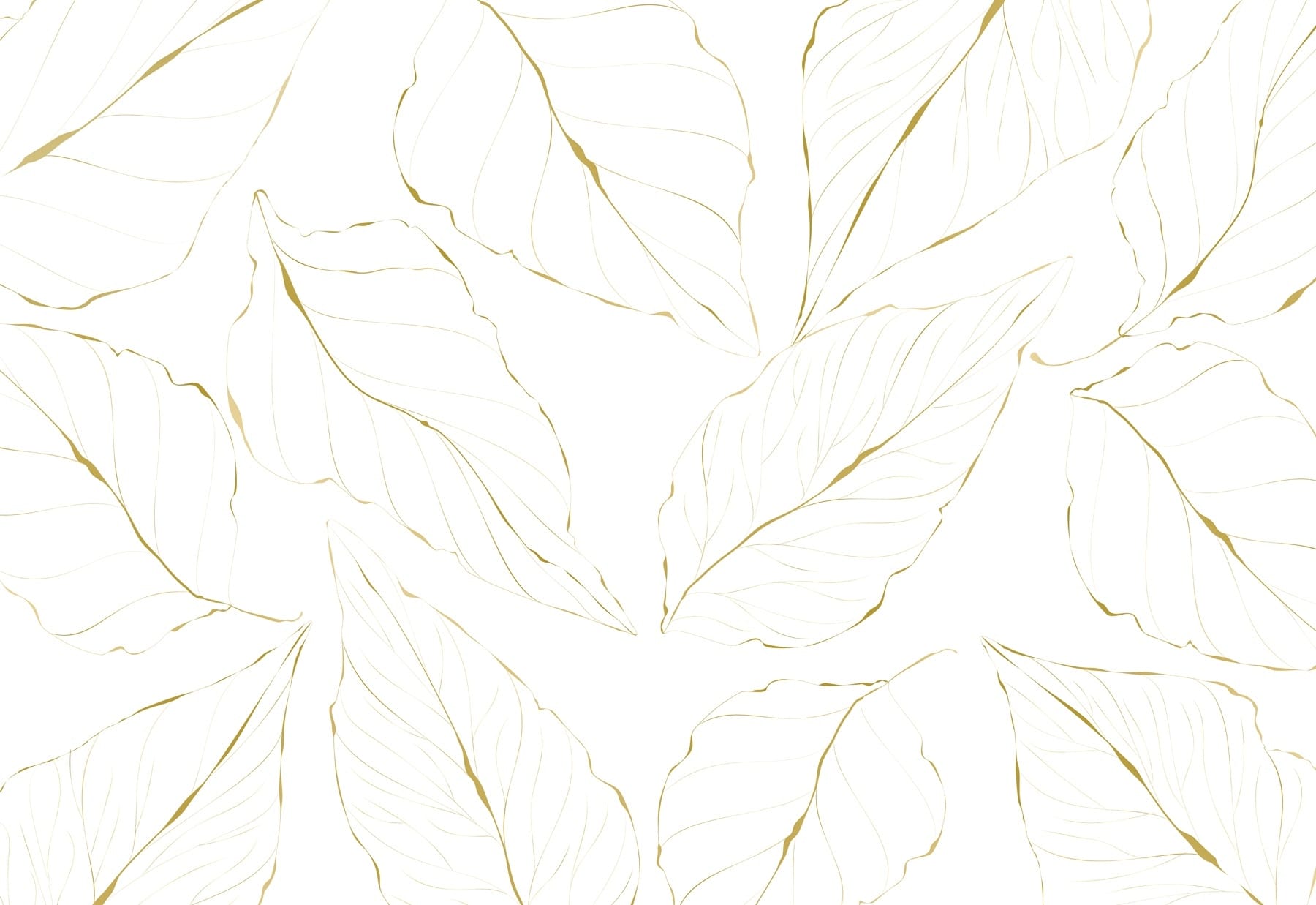 Pattern of leaves on a white background
