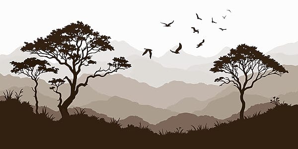 Pájaros volando sobre una cordillera Pájaros volando sobre una cordillera