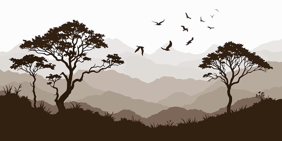 Fotomurales Pájaros volando sobre una cordillera - Imagen 4