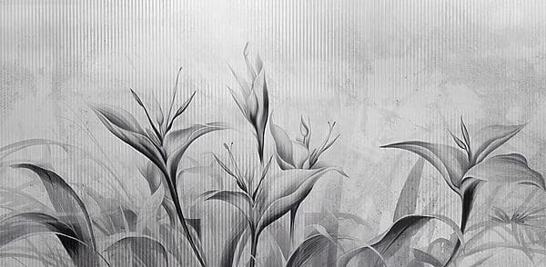Imagen de flores en blanco y negro Imagen de flores en blanco y negro