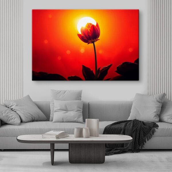 Red tulip with the sun behind it Red tulip with the sun behind it