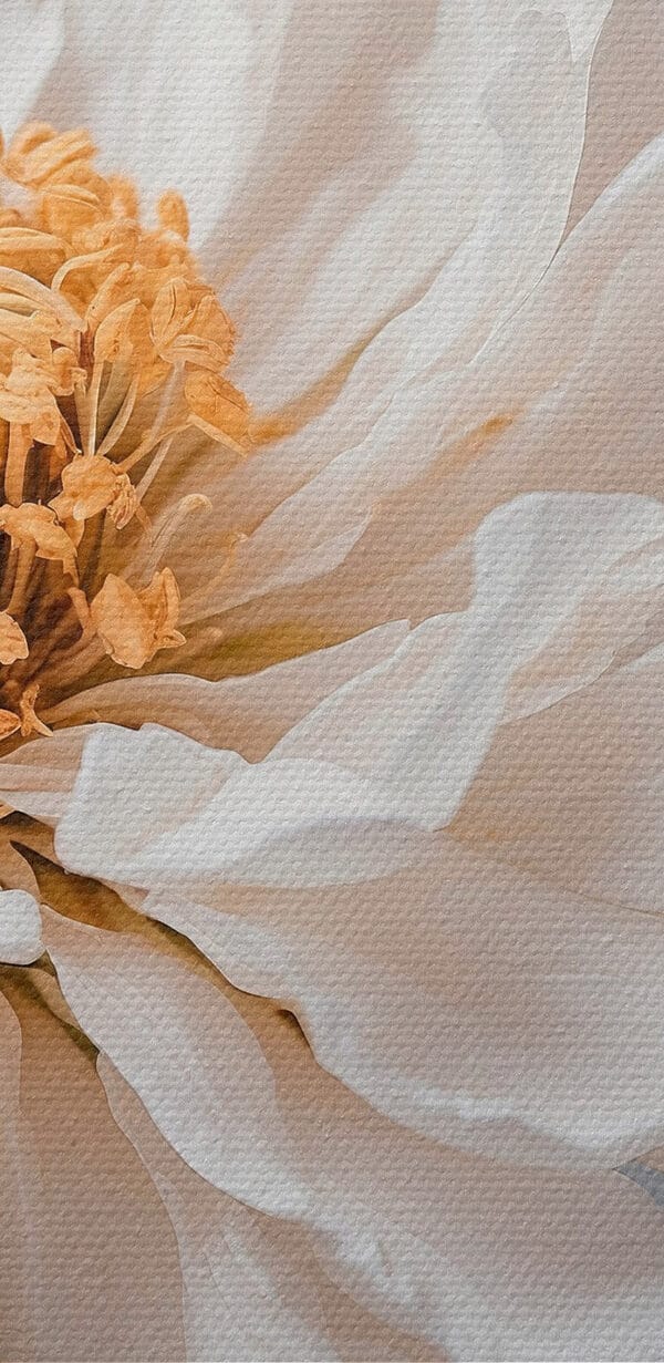 Delicate petals, nature's soft touch