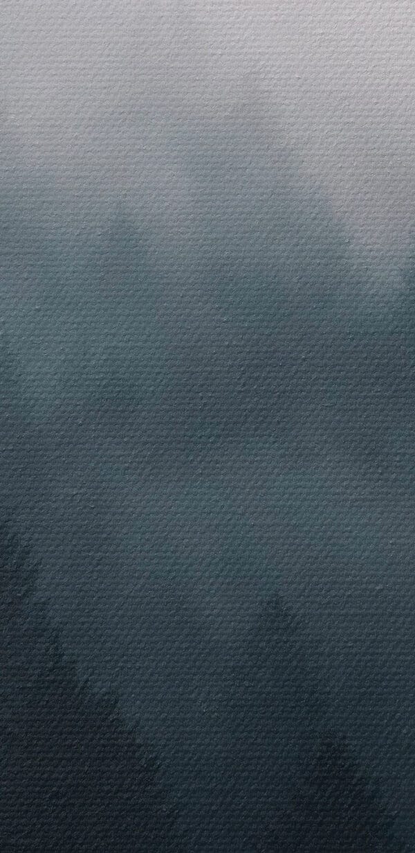 Foggy forest with trees