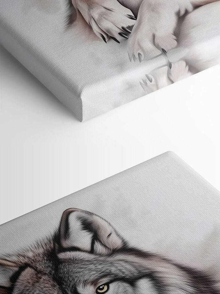 Wolf lying down looking at the camera