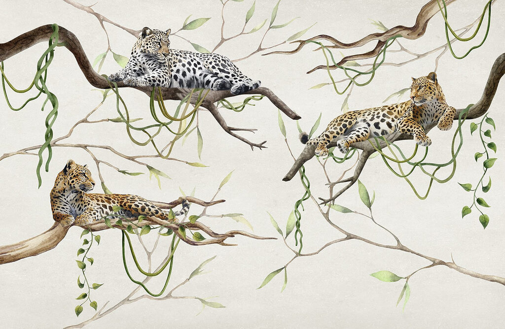 Grupo de leopardos tumbados en las ramas Grupo de leopardos tumbados en las ramas