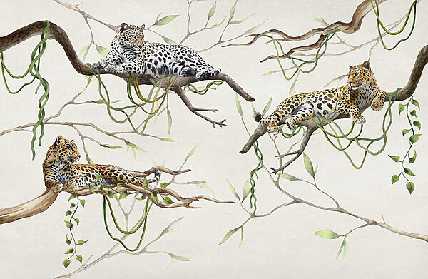 Grupo de leopardos tumbados en las ramas Grupo de leopardos tumbados en las ramas