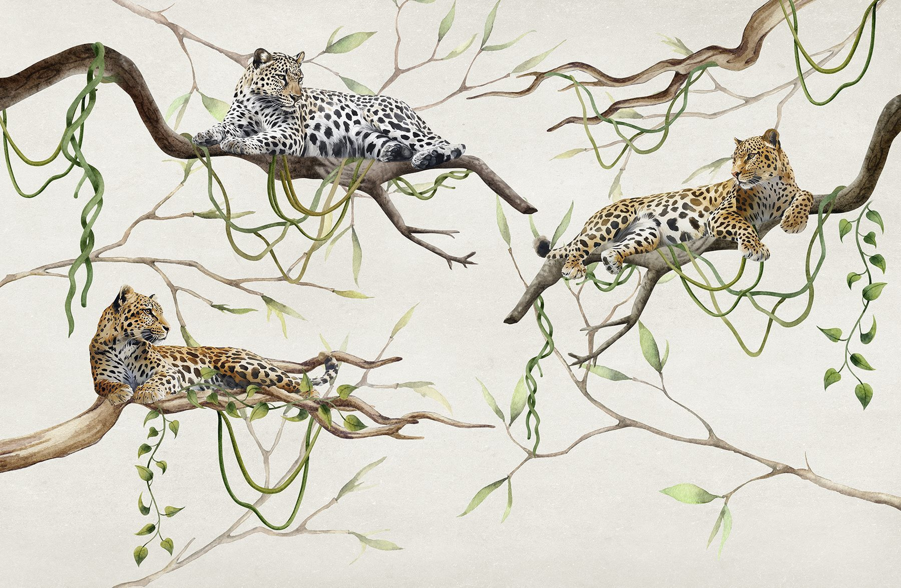 Group of leopards lying on branches