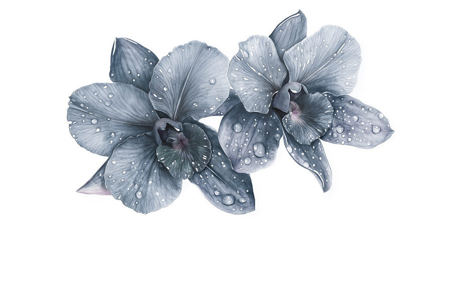 Delicadas flores con gotas de rocío
