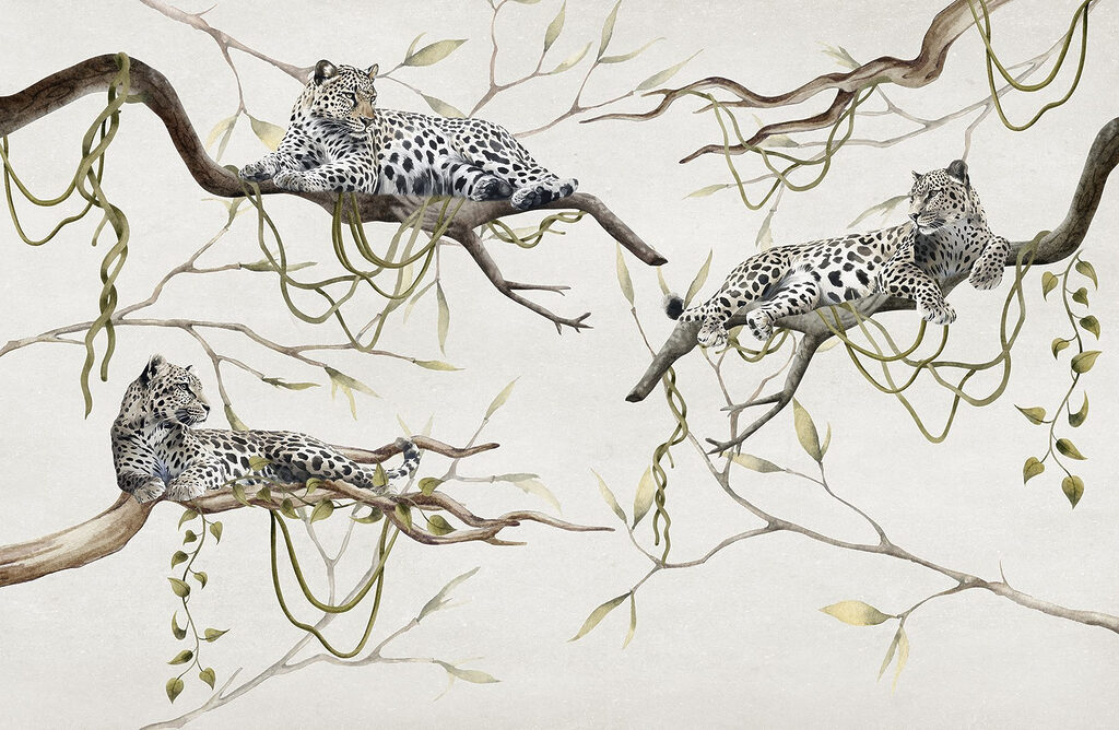 Group of leopards lying on branches