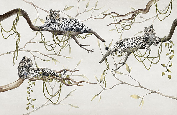 Group of leopards lying on branches