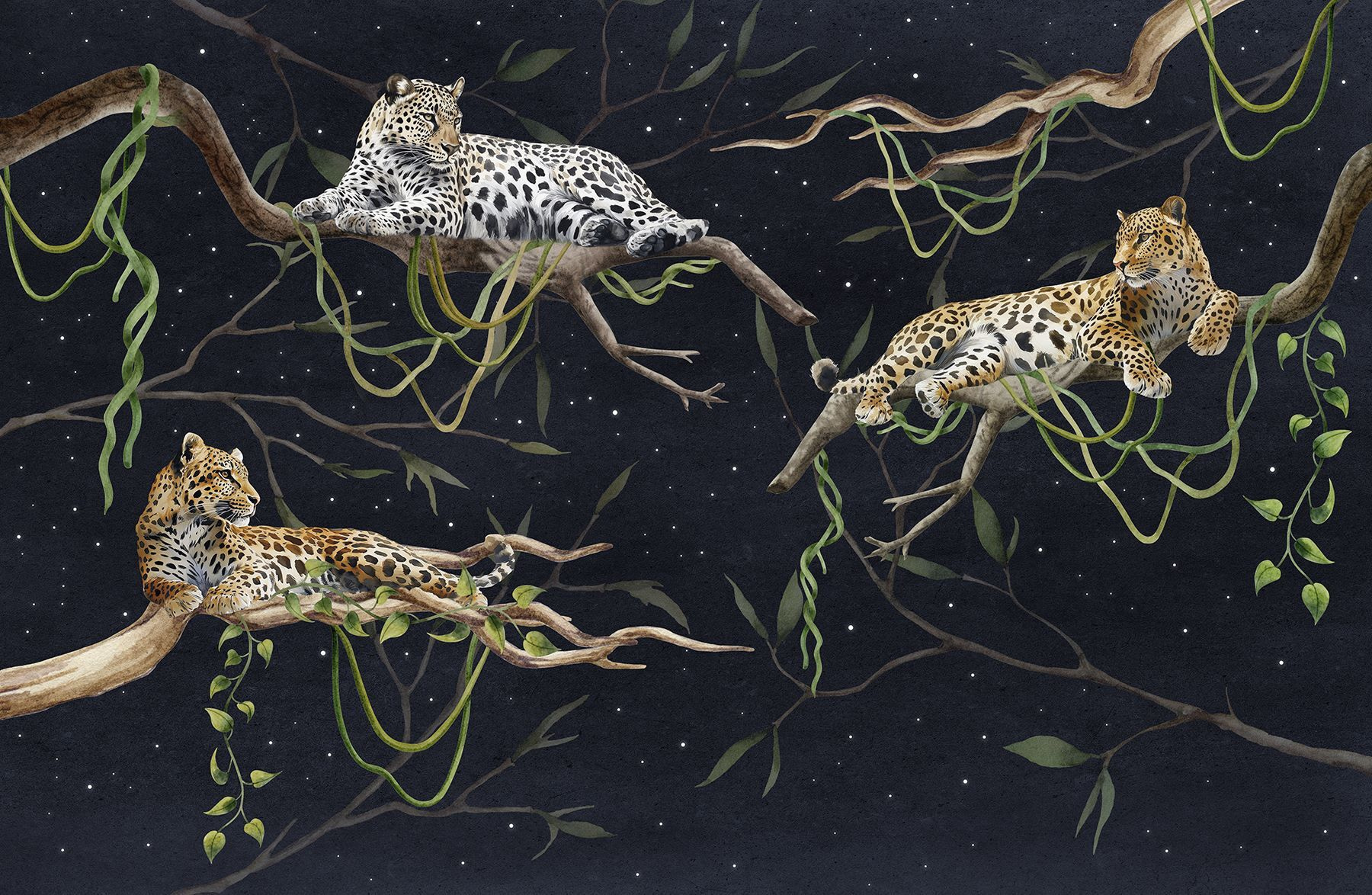Group of leopards lying on branches Group of leopards lying on branches