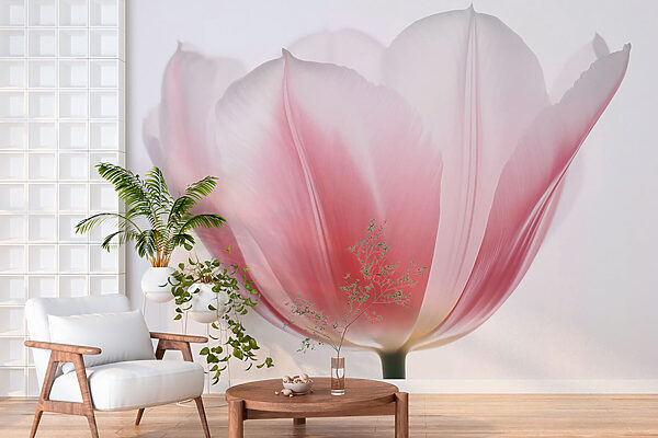 Fotomurales Fotomurales Delicados pétalos de tonos suaves (SKU: w03224)