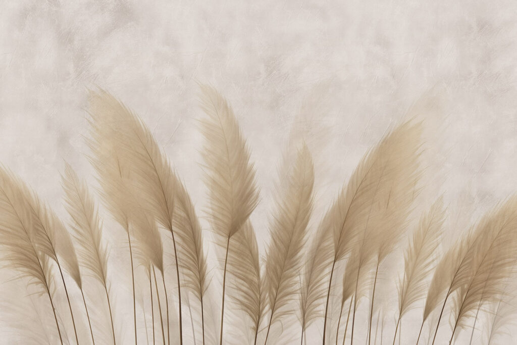 Grupo de plumas blancas Grupo de plumas blancas