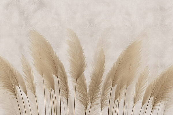 Grupo de plumas blancas Grupo de plumas blancas