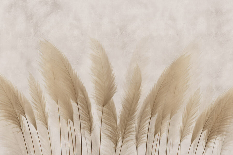 Grupo de plumas blancas