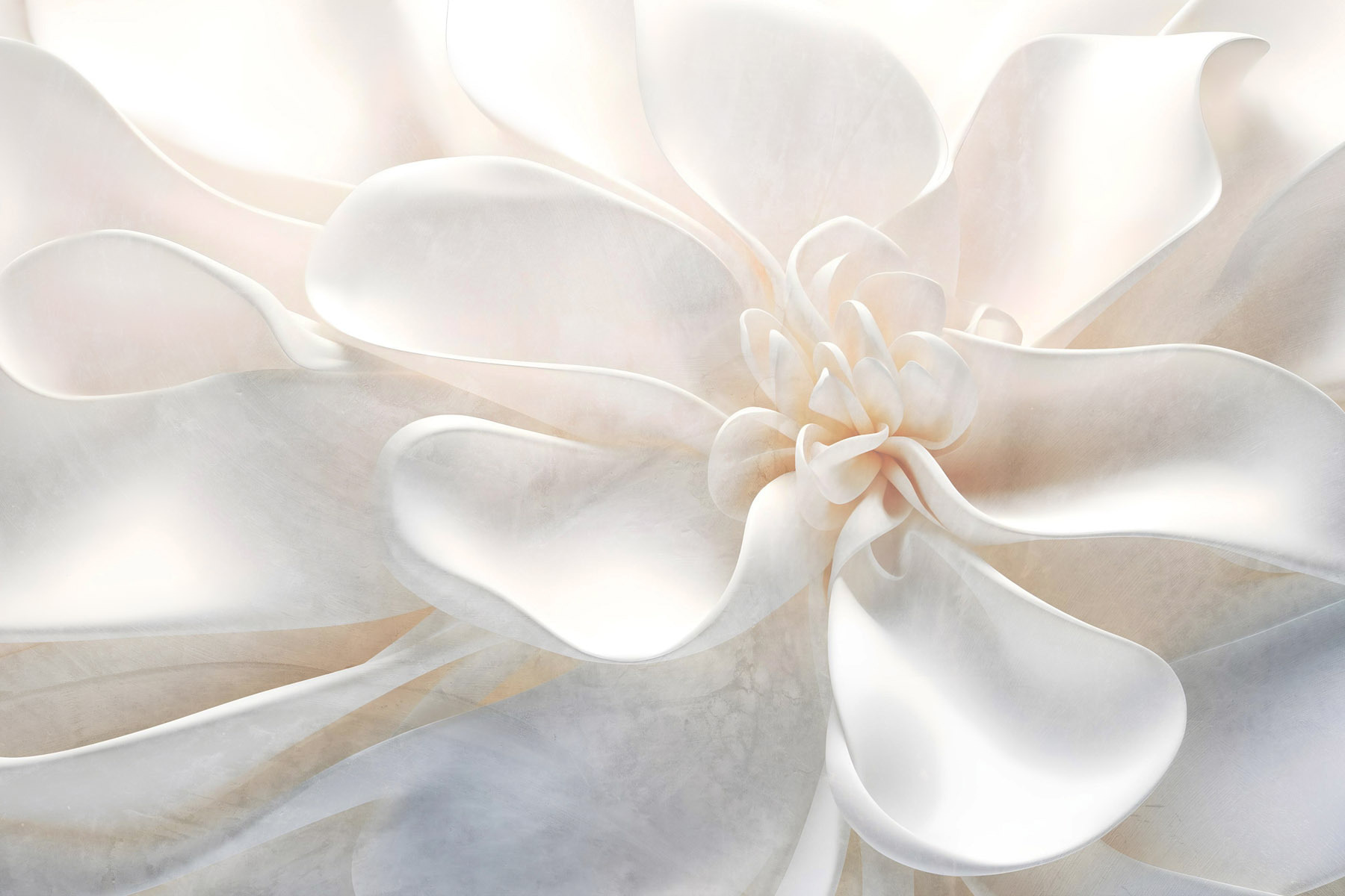 Delicate layers of floral beauty Delicate layers of floral beauty