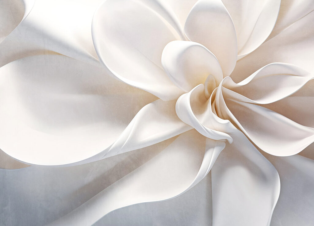 Flor de tela blanca Flor de tela blanca
