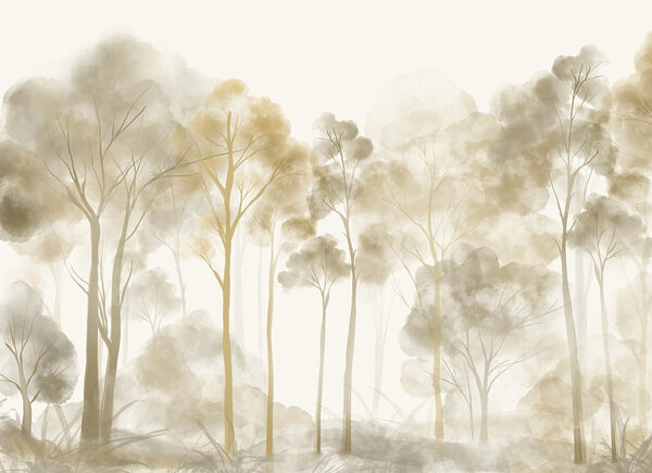 Grupo de árboles en un bosque con niebla Grupo de árboles en un bosque con niebla