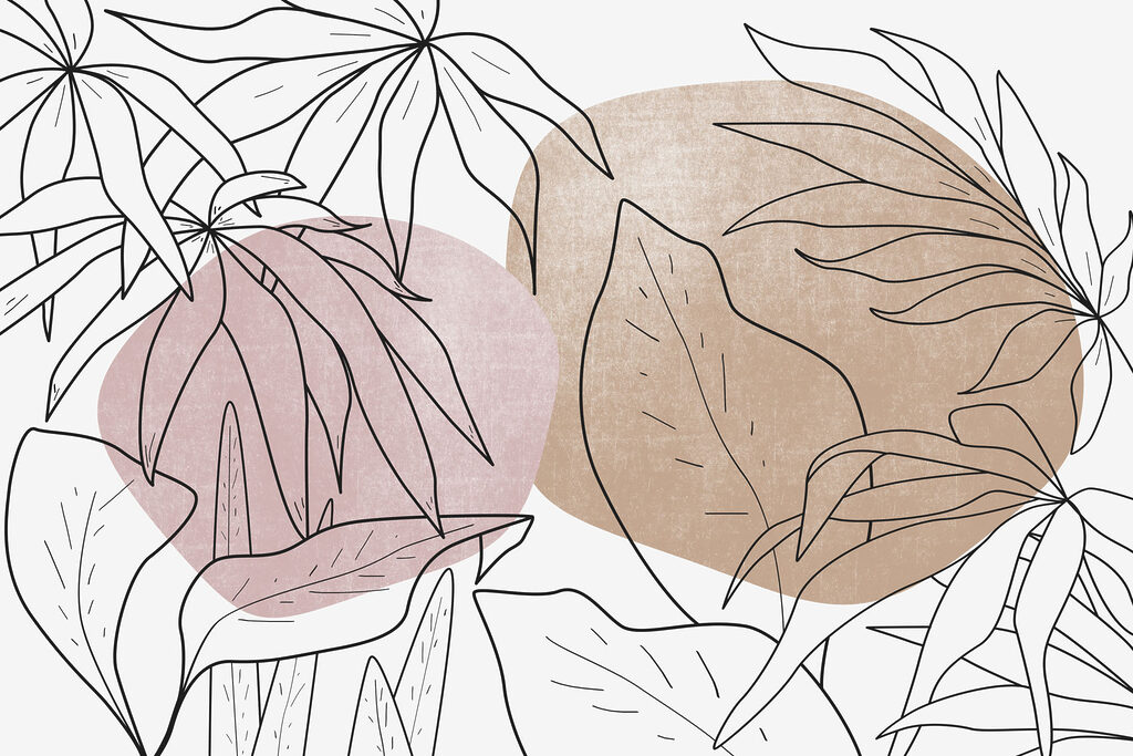 Dibujo de hojas y plantas Dibujo de hojas y plantas
