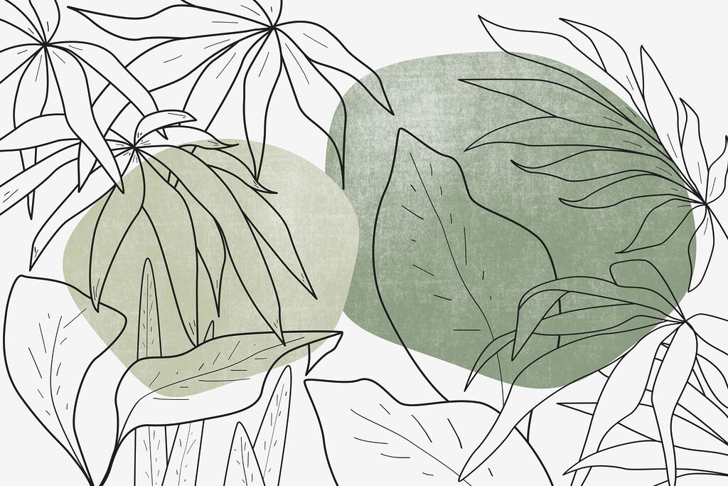 Dibujo de hojas y plantas Dibujo de hojas y plantas