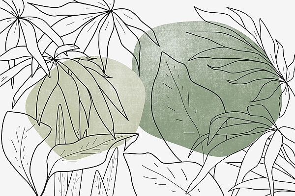 Dibujo de hojas y plantas Dibujo de hojas y plantas